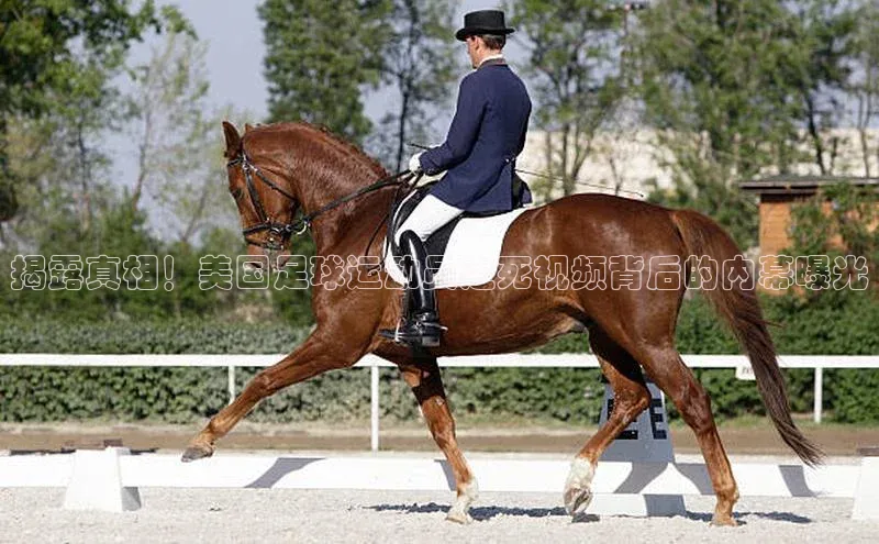 杏悦娱乐平台登录视觉中国