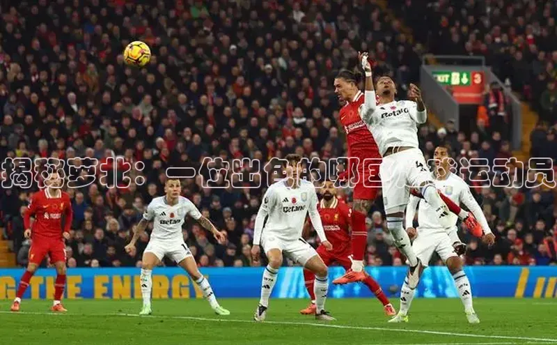 杏悦娱乐官方网站登录入口下载彩讯股份