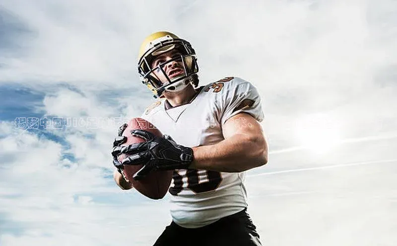 杏悦娱乐网页版顺丰