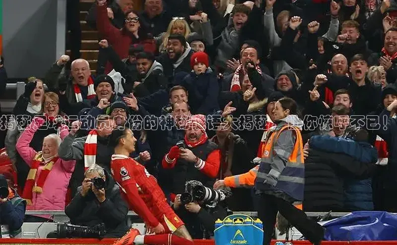 杏悦娱乐登录测试梯哥哥科技