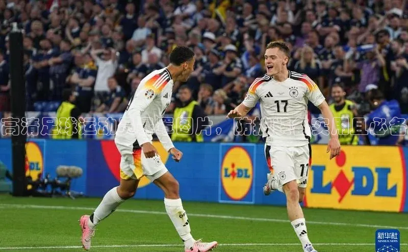 杏悦APP官方网站入口诸葛科技