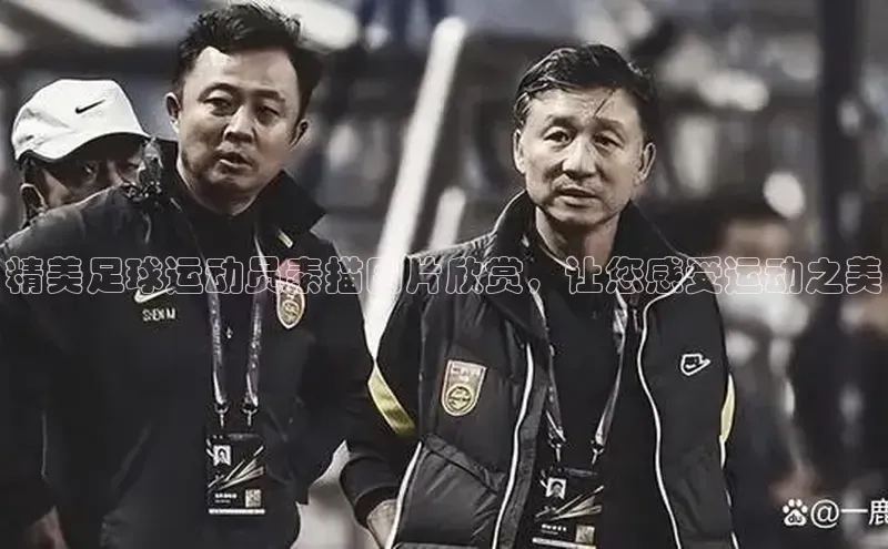 杏悦1平台注册入口小红书