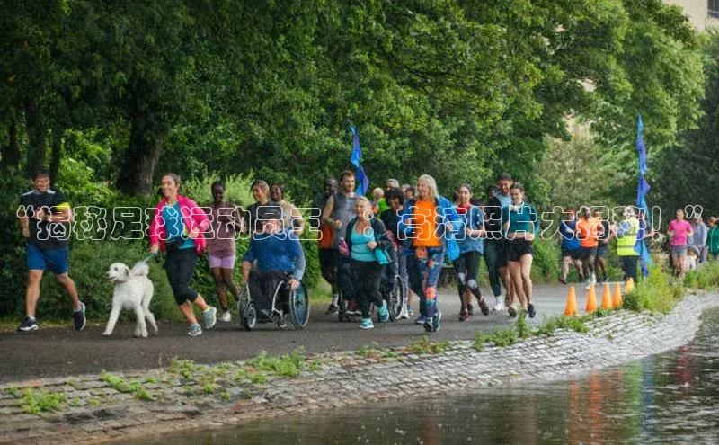 杏悦vip登录入口京东