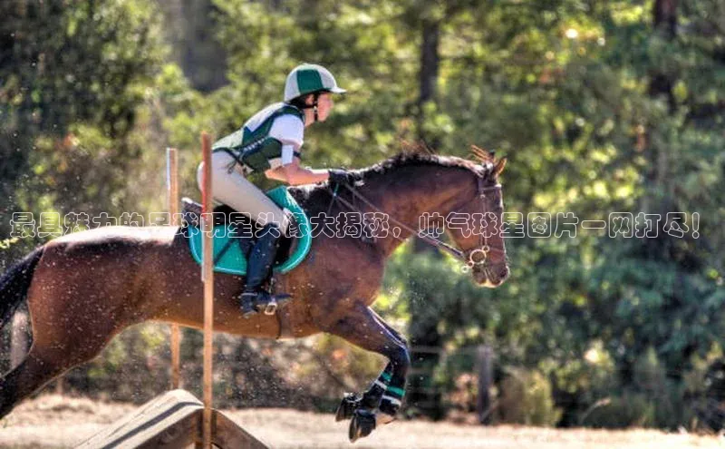 杏悦APP官网百度游戏