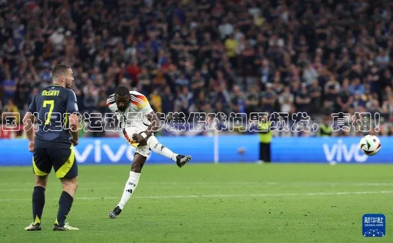 杏悦娱乐登录挪威主权基金