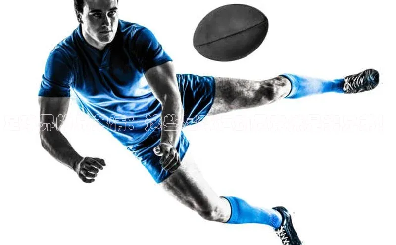 杏悦1平台登录入口华扬联众