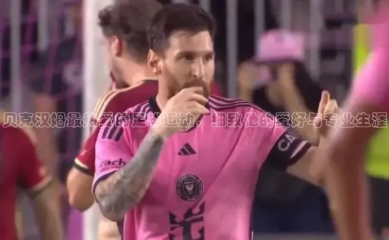 杏悦登录地址百度取证