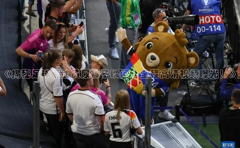 杏悦娱乐官网入口登录注册百度社团赞助平台