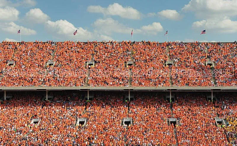 杏悦登陆金山办公