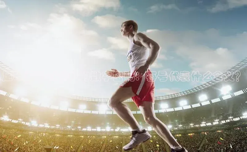 杏悦app官方网站入口下载安装路畅科技