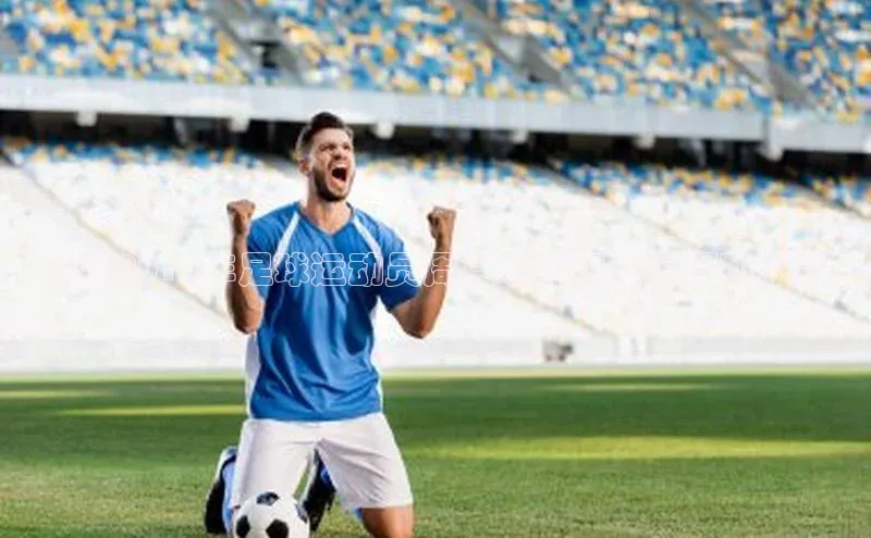 杏悦娱乐网页版顺丰