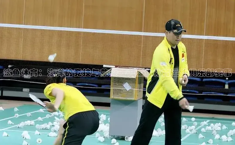 杏悦娱乐登录注册轻美电器