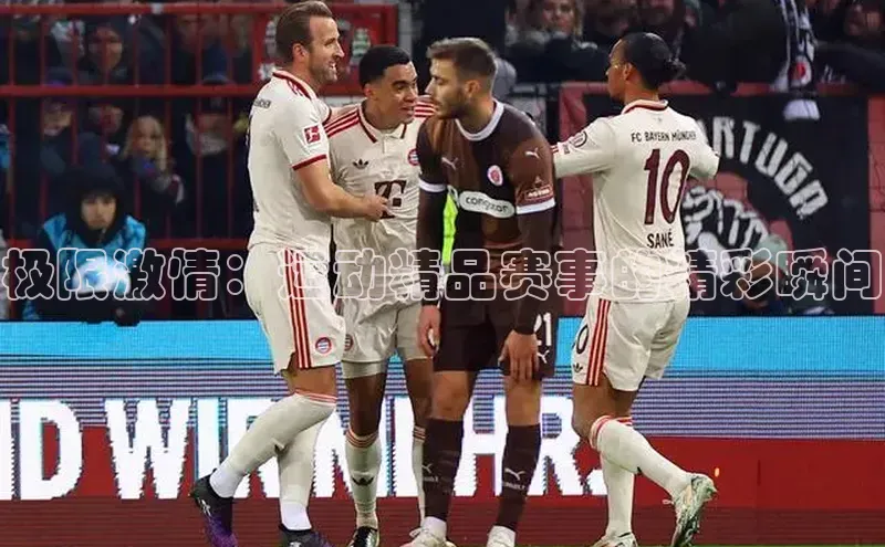 杏宇平台登录首页