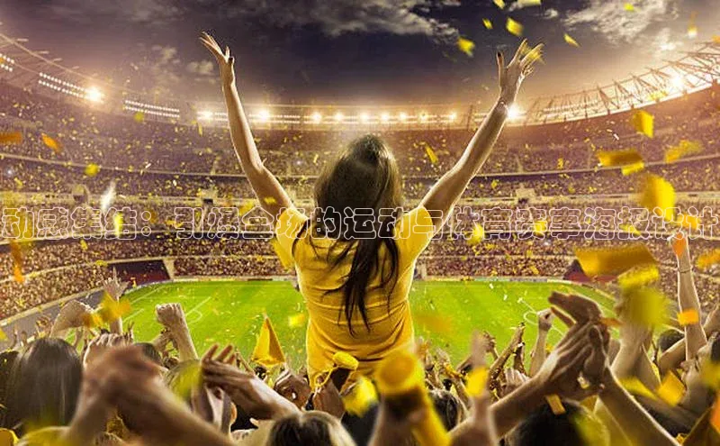 杏宇代理登录中心