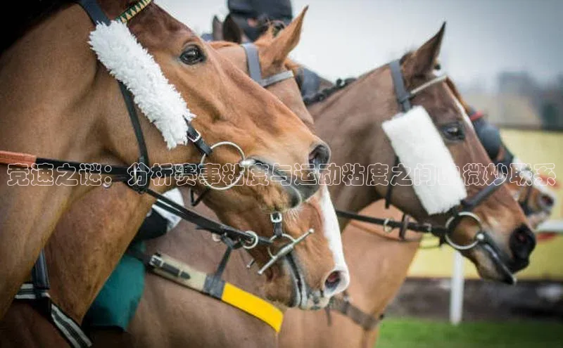 杏宇注册平台登录