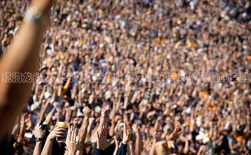 杏宇手游官网入口最新版本更新内容