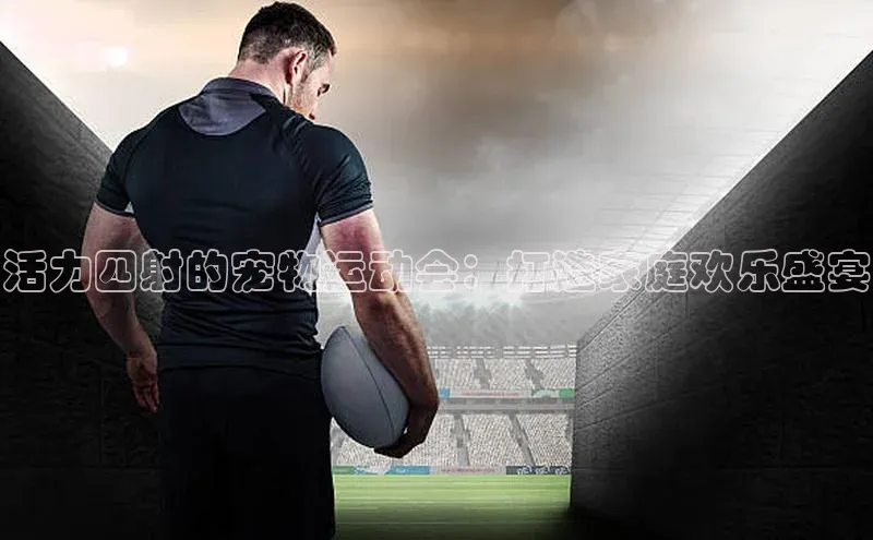 杏宇平台登录首页