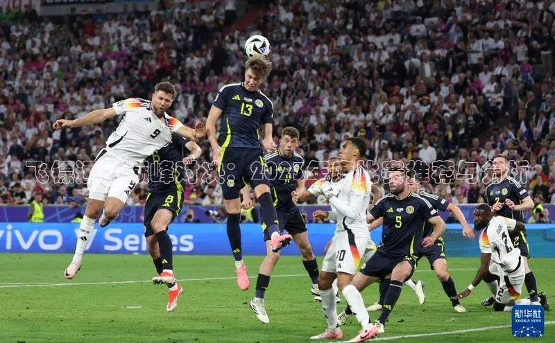 杏宇平台登录入口注册账号