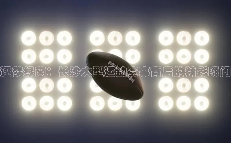 杏宇娱乐平台登录