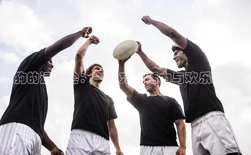 杏宇平台登录官网