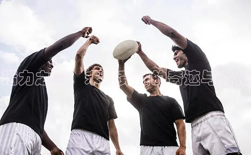 杏宇平台登录入口2024最新版