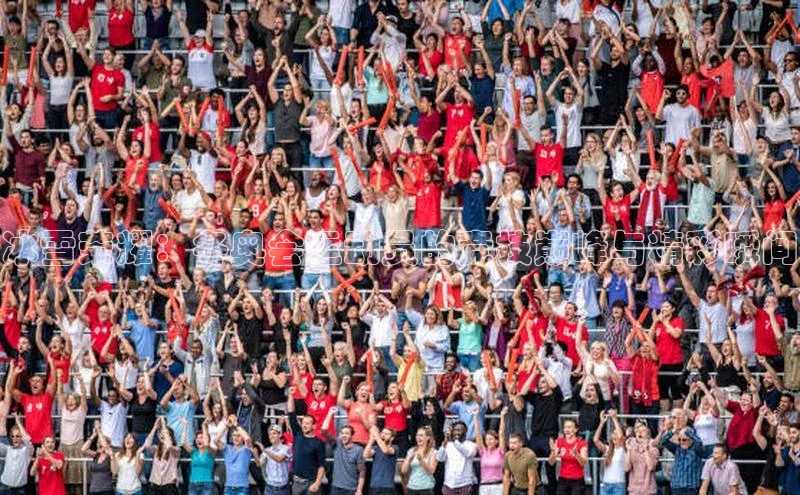 杏宇注册平台登录