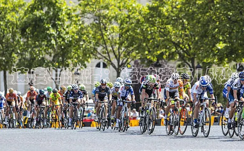 杏宇娱乐平台登录