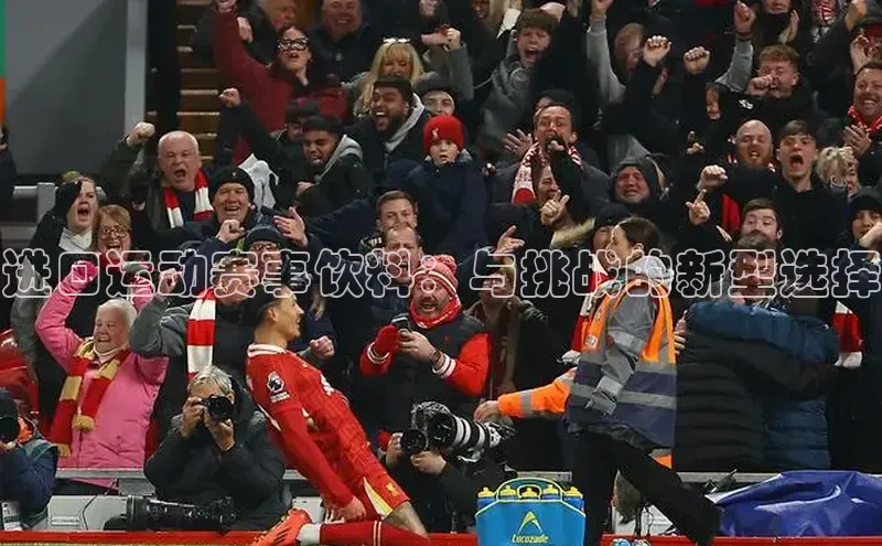 杏宇注册平台登录