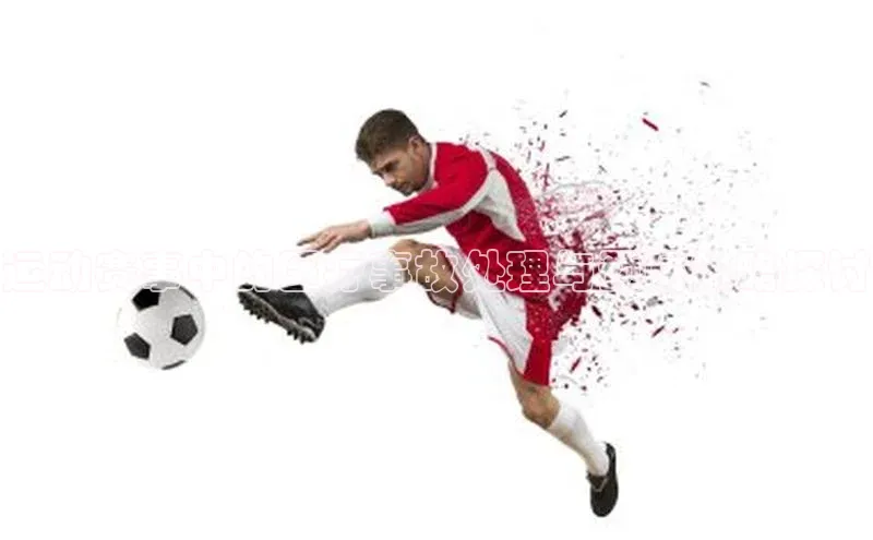 杏宇娱乐app官方下载