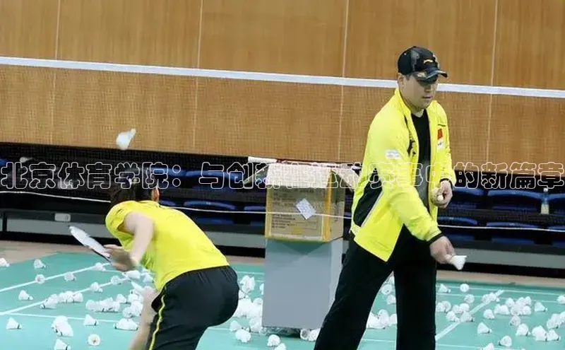 杏宇手游官网入口最新版本更新内容