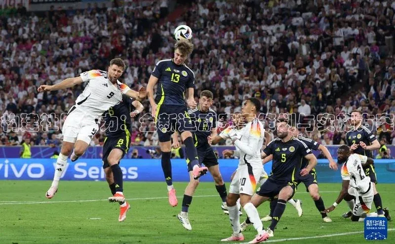 杏宇平台登录官网