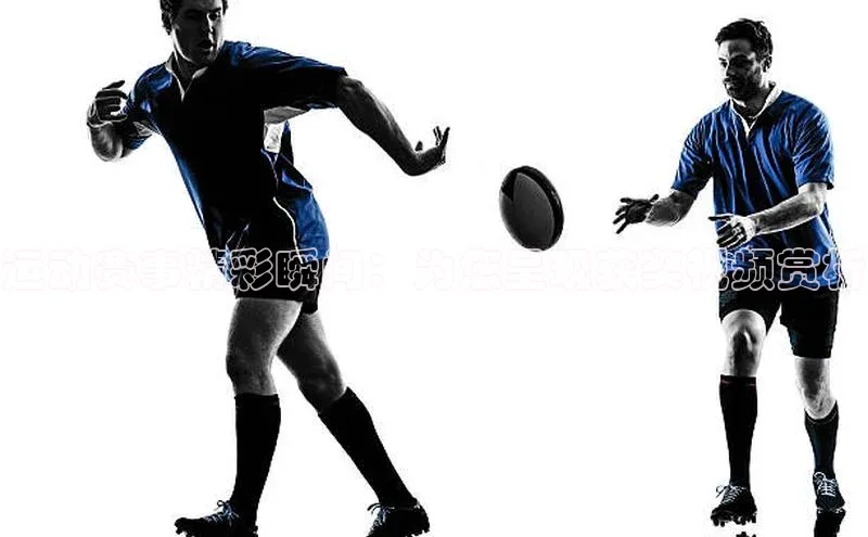 杏宇平台登录首页