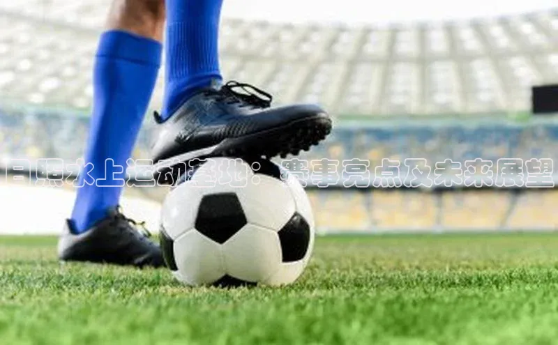 杏宇平台登录入口注册账号