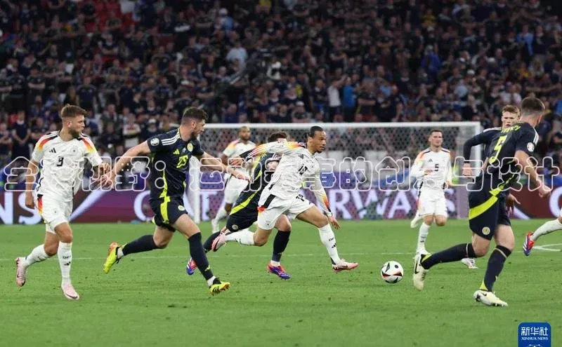 杏宇平台登录首页