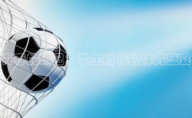 杏宇平台登录入口2024最新版