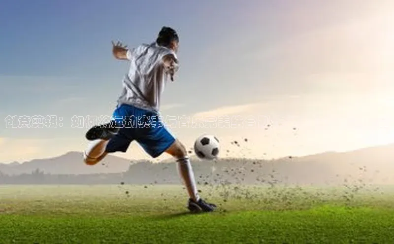 杏宇平台登录官网