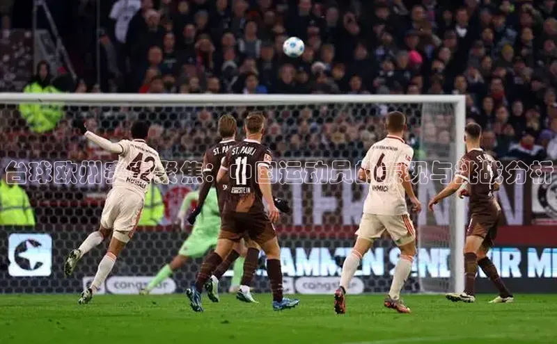 杏宇手游官网入口最新版本更新内容