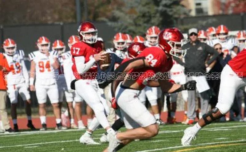 杏宇注册平台登录